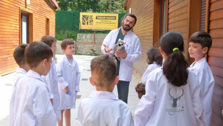 Ormanya yaz okulu başlıyor!
