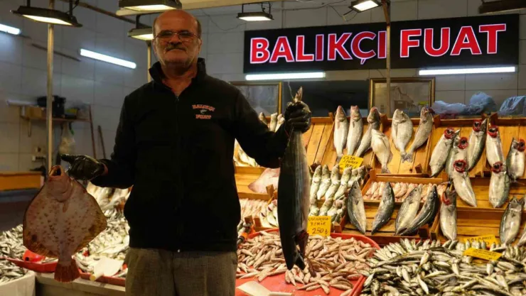 Palamuda veda, çinekop ve hamsi tezgahlarda