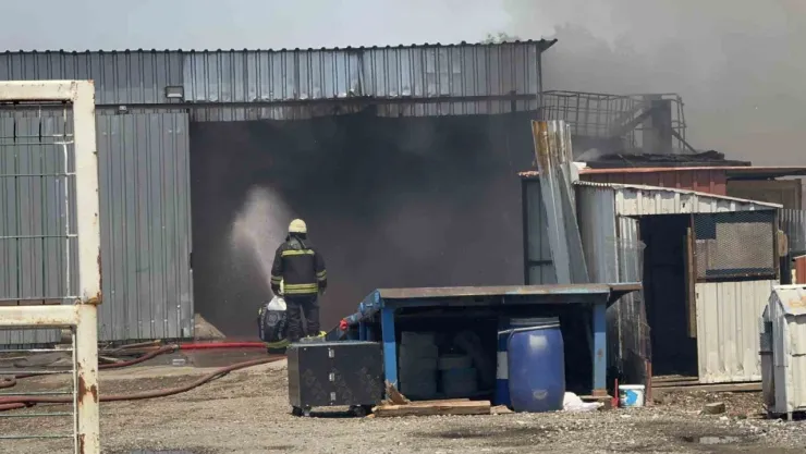 Palet fabrikasındaki yangına müdahale sürüyor