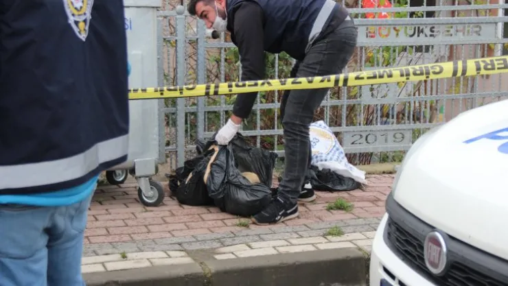 Poşetlenmiş halde telef olmuş hayvanlar bulundu