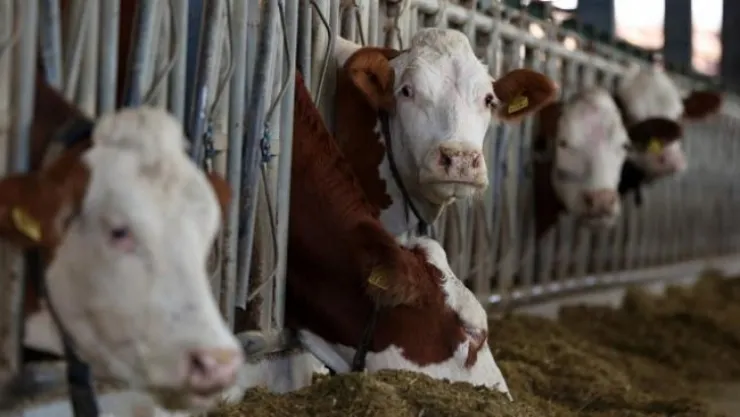 Ramazan'da ucuz et için yeni düzenleme