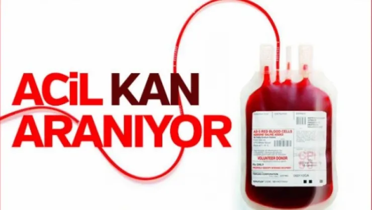 Rıdvan Alkan'a acil kan!
