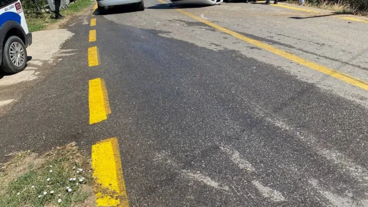 Sakarya'da kamyonet takla attı: 1 yaralı