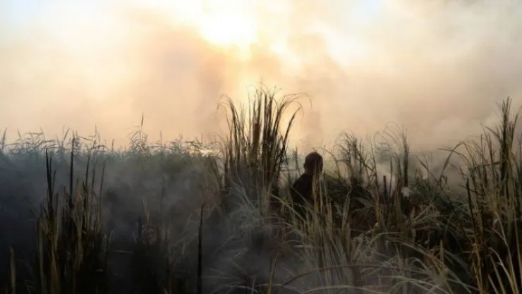 Sazlık alandaki yangın ekipleri harekete geçirdi!
