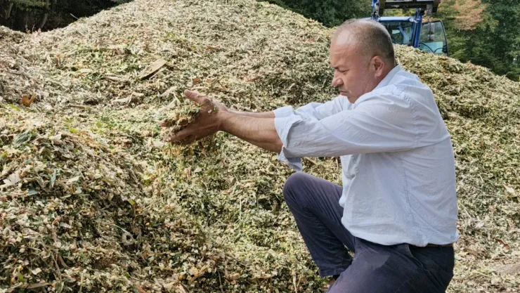 Silajda yüzde 30'luk verim kaybı sıfırlandı