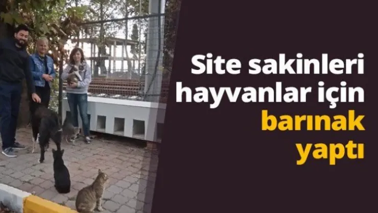 Site sakinleri hayvanlar için barınak yaptı