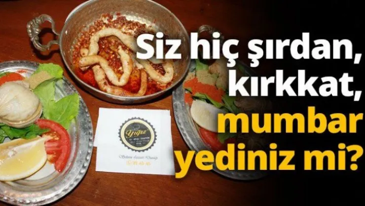 Siz hiç şırdan, kırkkat, mumbar yediniz mi?