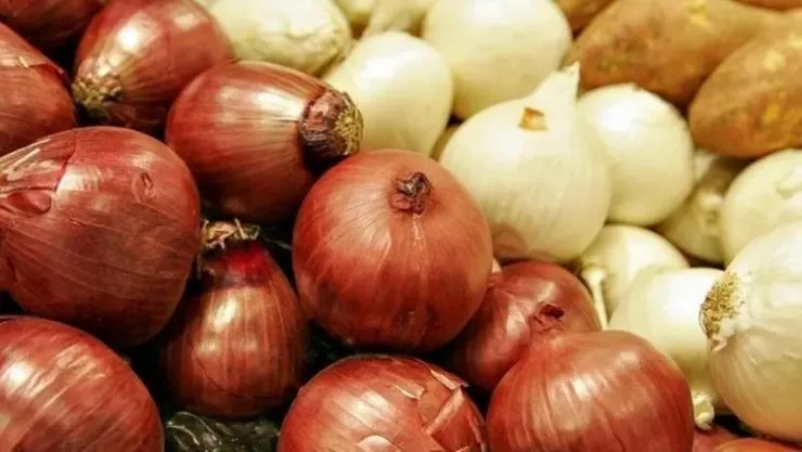Soğan artık yoksul yiyeceği değil!