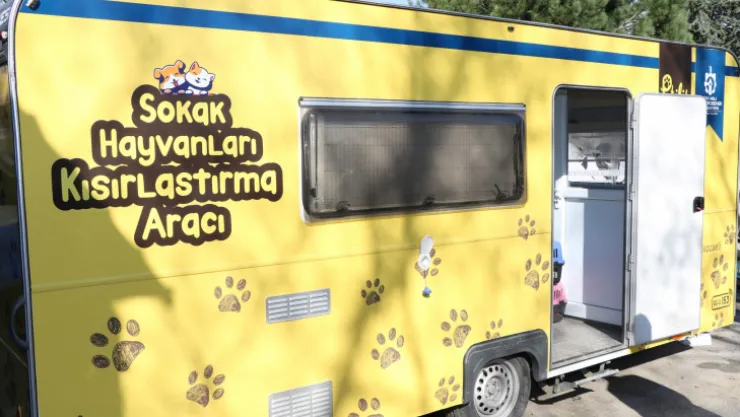 Sokak kedilerine kısırlaştırma karavanı