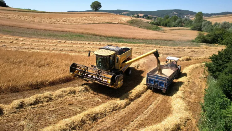 Tarımda verimlilik artıyor