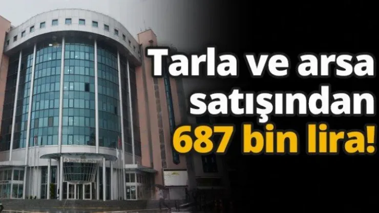 Tarla ve arsa satışından 687 bin lira!