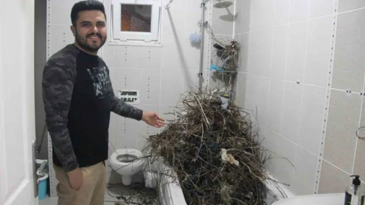 Tatilden evine dönen vatandaş neye uğradığını şaşırdı