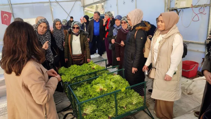 Topraksız tarım projesine yoğun ilgi