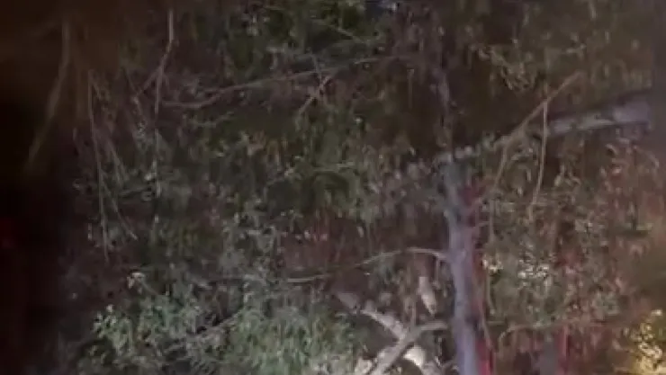 Topunu almak için çıktığı ağaçtan inemeyen çocuğun yardımına itfaiye yetişti