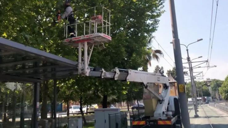Tramvay hattına zarar verebilecek dallar budandı