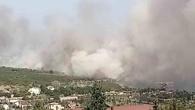 TÜBİTAK'ın ormanlık alanında yangın
