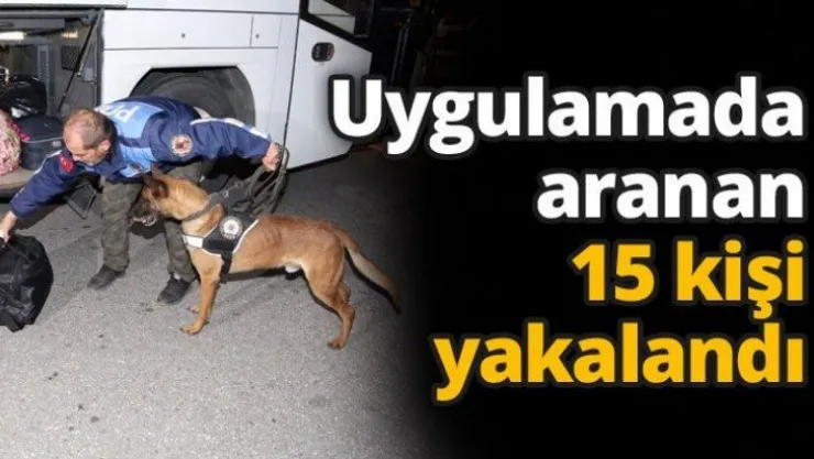 Uygulamada aranan 15 kişi yakalandı