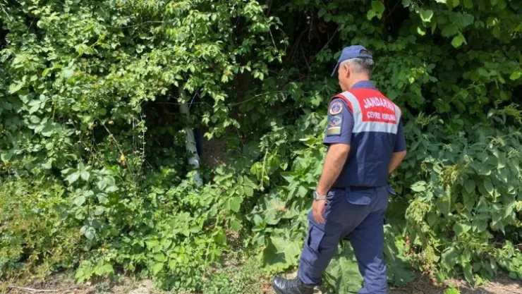 Vadi Besicilik'e jandarma baskını!
