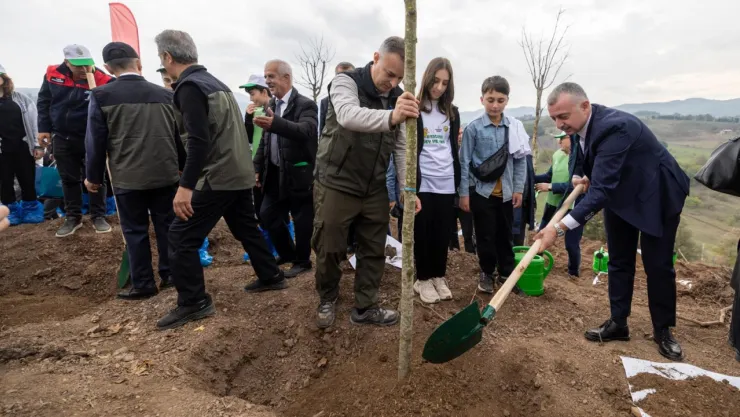 Yanan bölge 3 bin fidanla yeniden yeşerecek