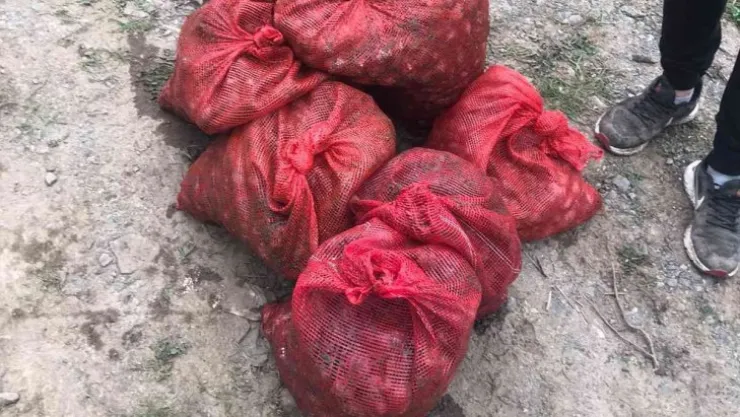 Yasak midye avcılarına 'Kurbağa Adam' şoku