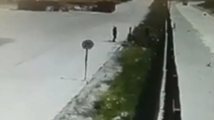 Yavru köpeği çitlerin üstünden fırlattı