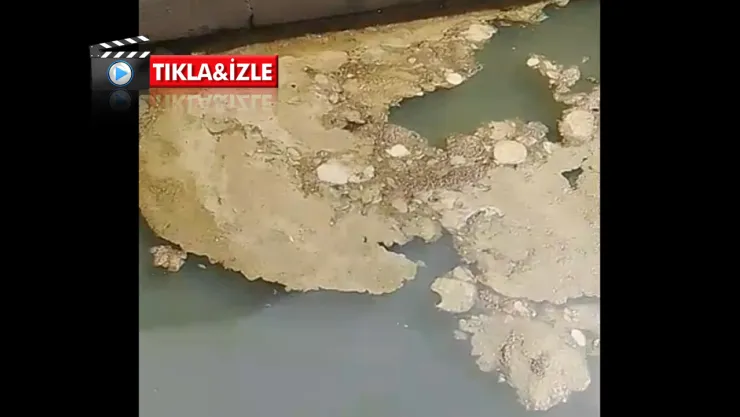 Yemek yemeye gelenler bu manzarayla karşılaşıyor