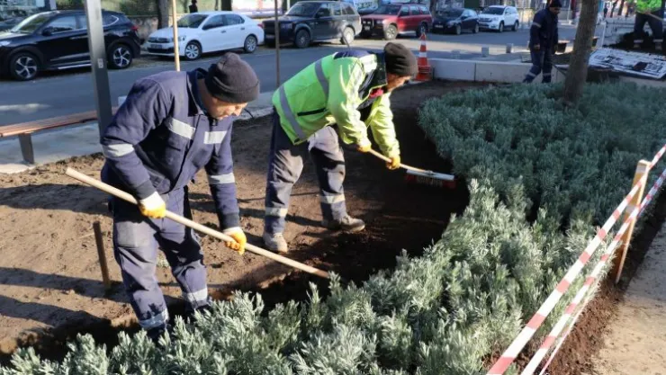Yeni Yürüyüş Yolu yazın lavanta kokacak