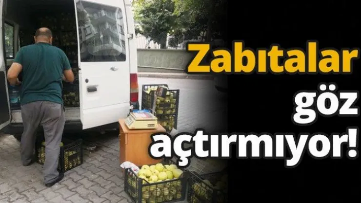 Zabıtalar göz açtırmıyor!