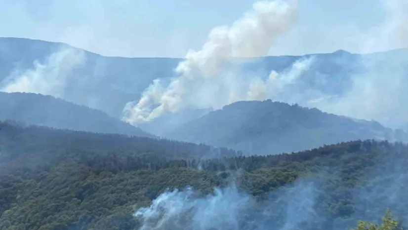 963 personel, 16 hava aracı ile Karamürsel'deki yangına büyük seferberlik
