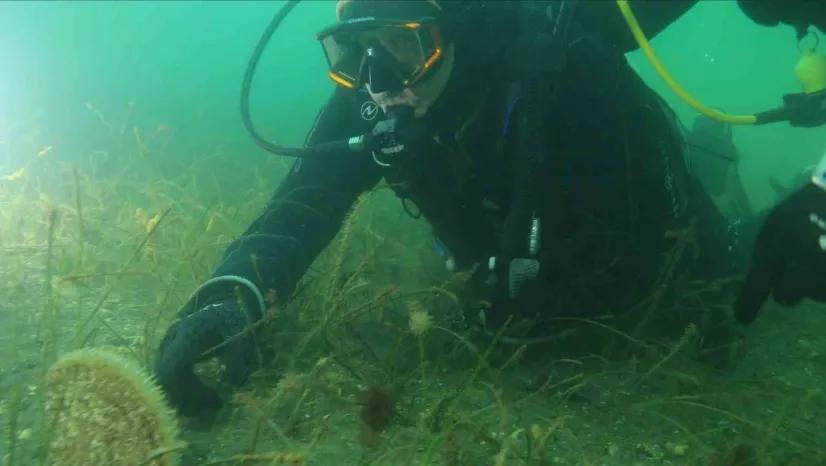 Belediye başkanı dalış yaptı, su altından müjdeyle çıktı