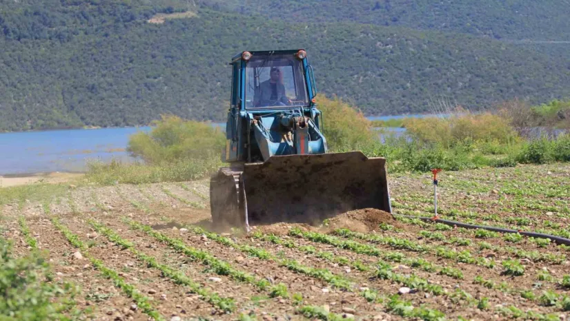Devlet çiftçiye ekin diyor, DSİ ekili alanları düzlüyor