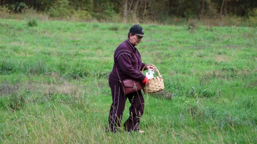 Doğaseverler Ormanya'nın zengin biyolojik çeşitliliğini keşfetti