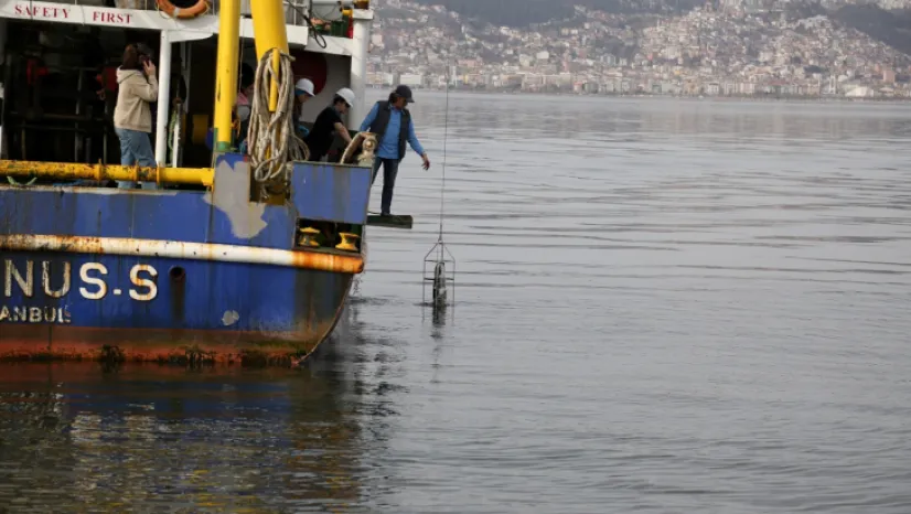 İzmit Körfezi'nde biyoçeşitliliğin tespiti