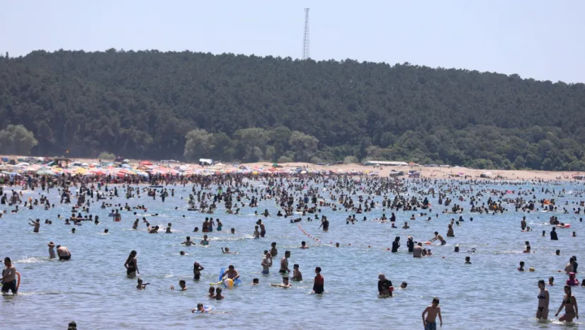 Kocaeli'de 202 can kurtarıldı