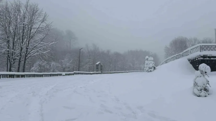 Kocaeli'nin yüksek kesimlerine lapa lapa kar yağıyor