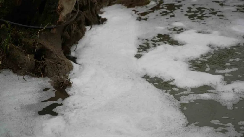 Köpüren dereden ağır kokular yükseliyor