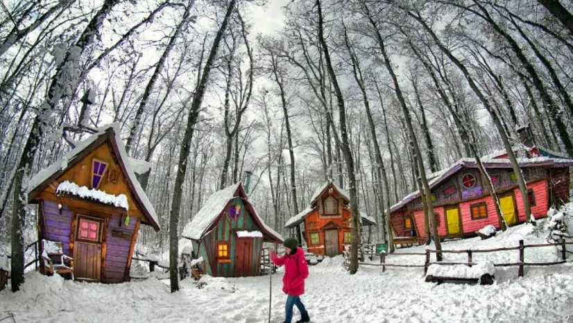 Ormanya beyaz örtüyle kaplandı