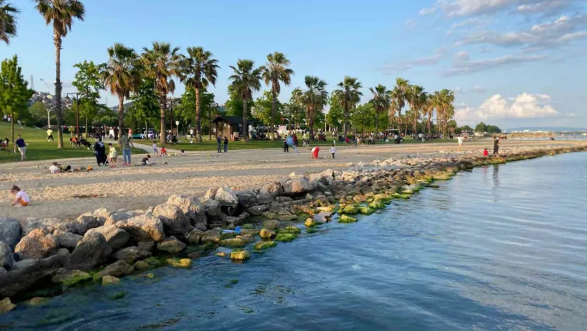 Sekapark'ta dev yılanı böyle görüntülediler