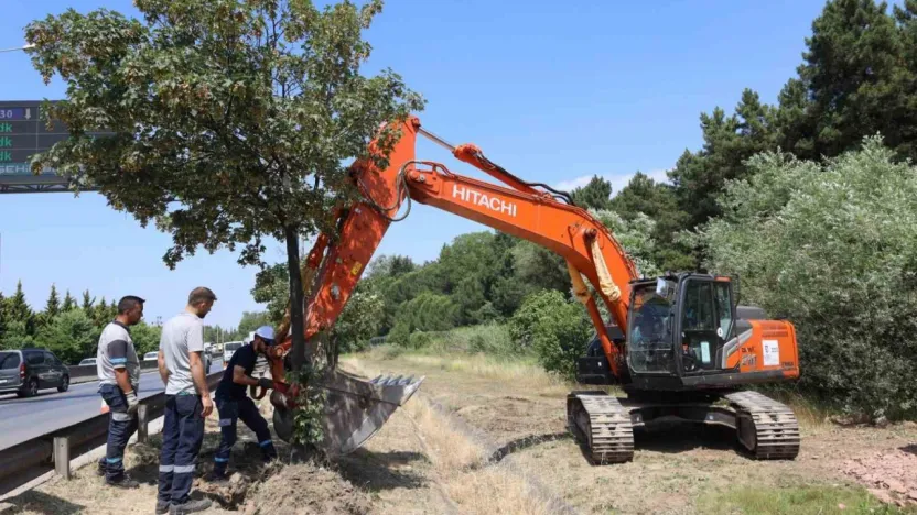 Dev projeye start verildi
