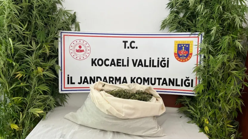 Evini uyuşturucu serasına çevirdi