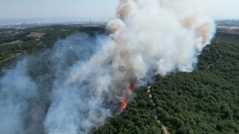 Gebze'de çıkan orman yangını kontrol altına alındı