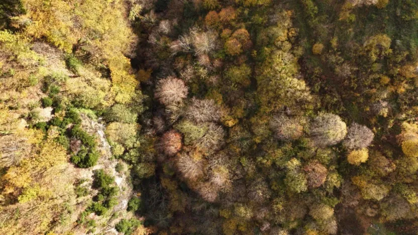 İstanbul'un yanı başında sonbahar rotası