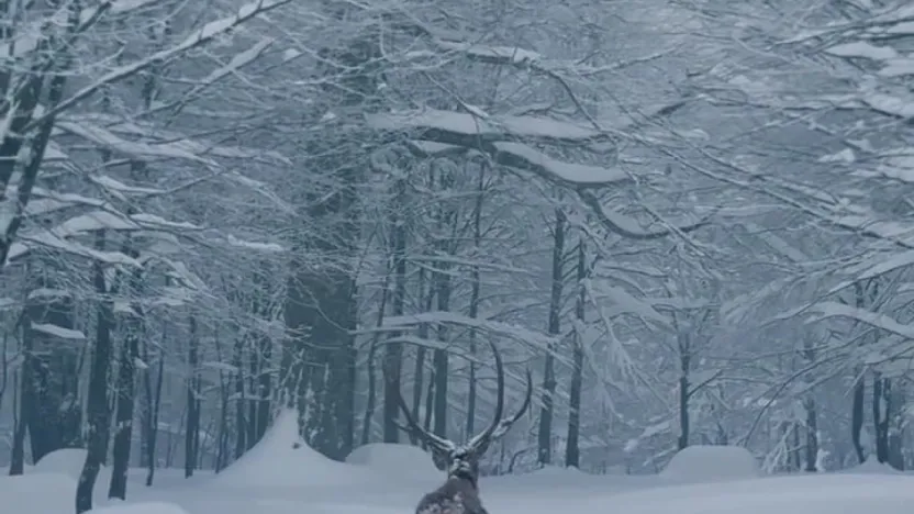 Karla kaplı Kartepe'de kızıl geyik güzelliği
