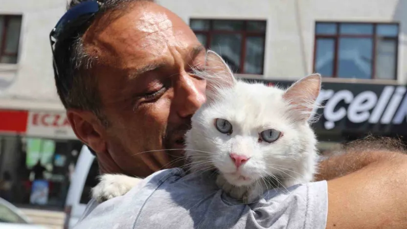 Kayıp kedisine günler sonra kavuştu, bu kez mutluluktan ağladı