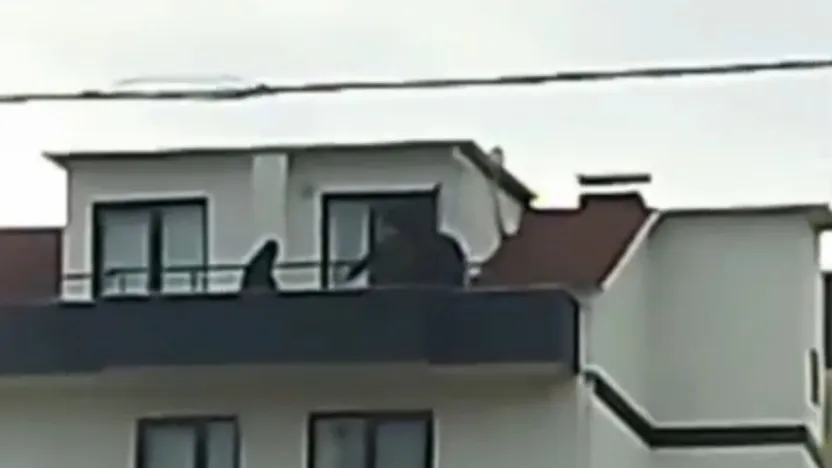 Kocaeli'de FETÖ operasyonu