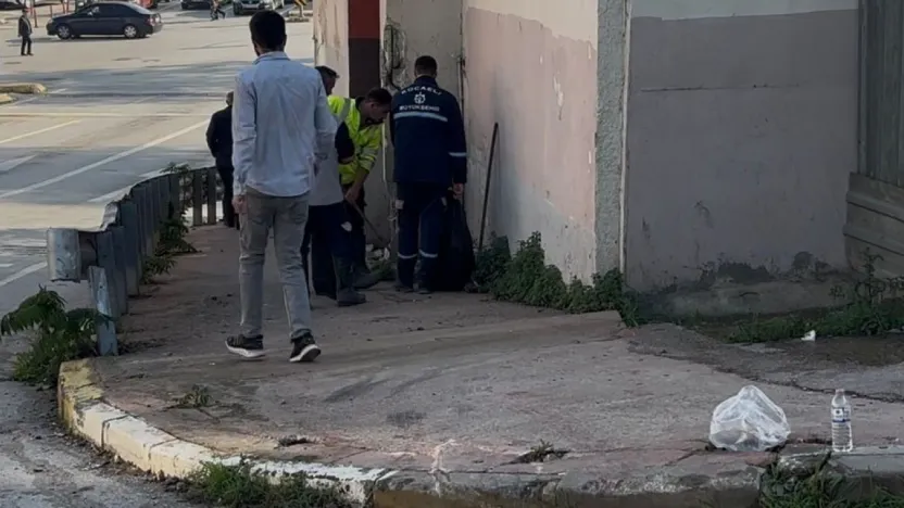 Kocaeli'de freni boşalan otobüs duvara çarptı: 3'ü polis 7 yaralı