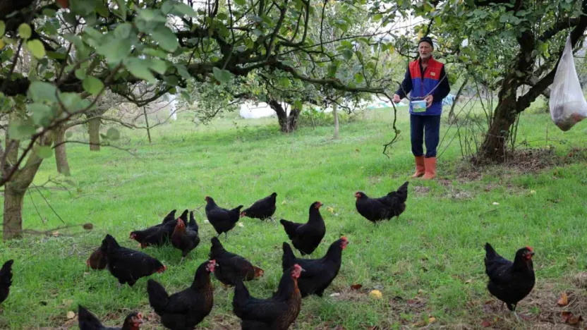 Kocaeli'de kırsal kalkınmaya kanatlı destek