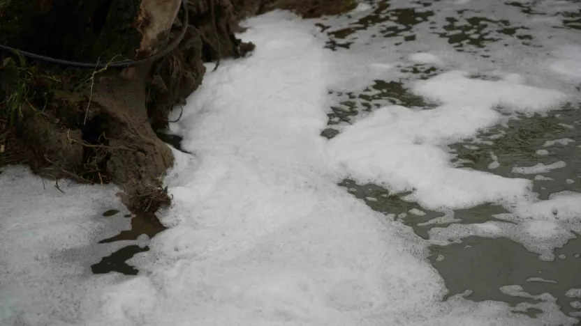 Köpüren dereden ağır kokular yükseliyor
