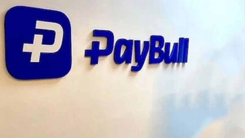 Paybull'a operasyon: 25 gözaltı