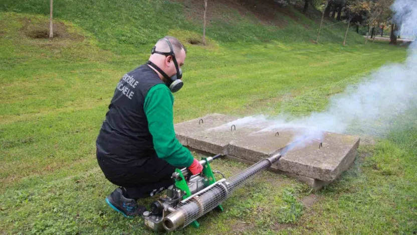 Sinekle mücadelede kışlık uygulama modeline geçildi